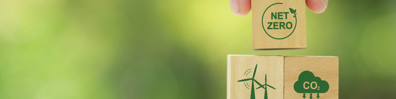 Würfel mit Symbolen zu Nachhaltigkeit