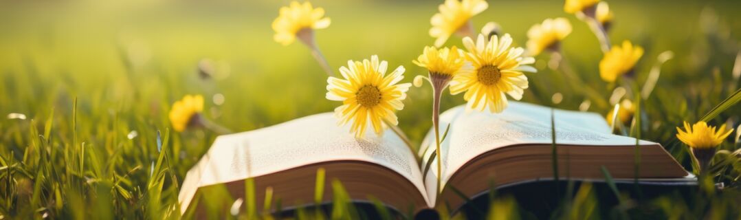 lächelnde damen im grünen